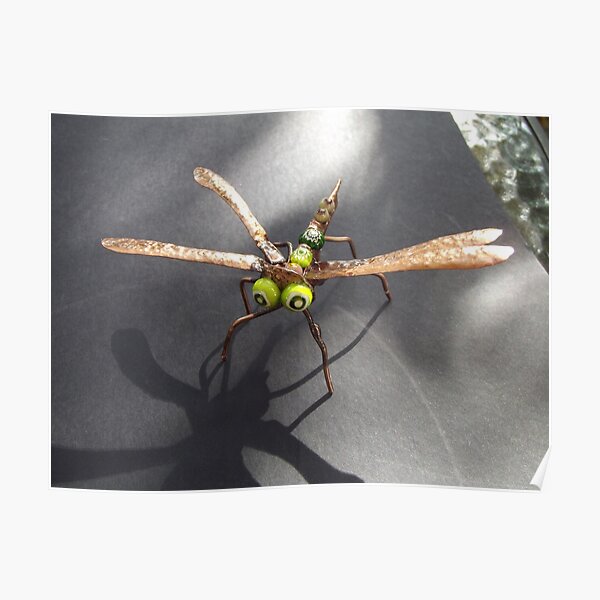 Dragonfly 2 Poster