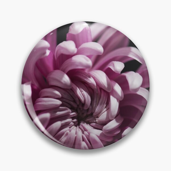 Item preview, pink chrysanthemum on black background designed and sold by lenaivanova.