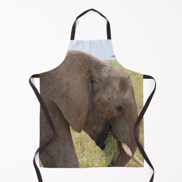 Item preview, Elephant grazing. Serengeti National Park, Tanzania designed and sold by electricimage.