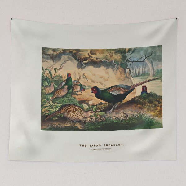 Item preview, Zoological sketches by Joseph Wolf 1861 to 1867 038 The Japan Pheasant designed and sold by WetdryvacRB01.