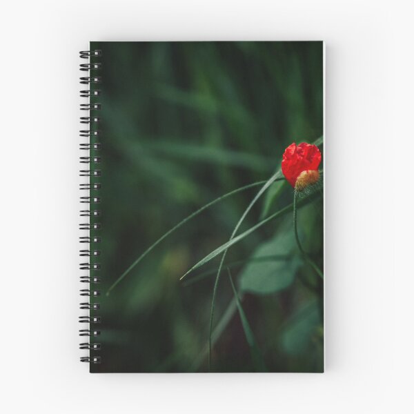 Item preview, Red flower designed and sold by viknitov.