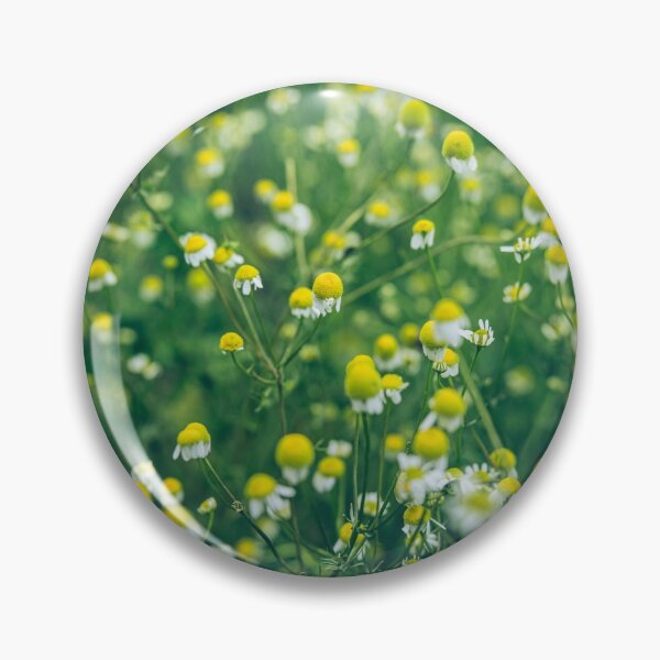 Item preview, Daisies designed and sold by viknitov.