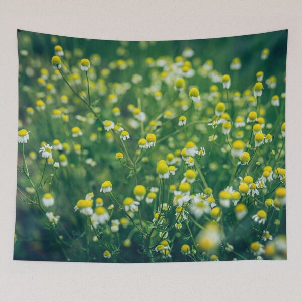 Item preview, Daisies designed and sold by viknitov.