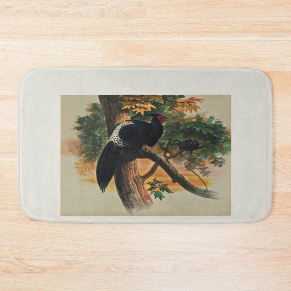 Item preview, Zoological sketches by Joseph Wolf 1861 to 1867 039 Horsfield's Kaleege designed and sold by WetdryvacRB01.