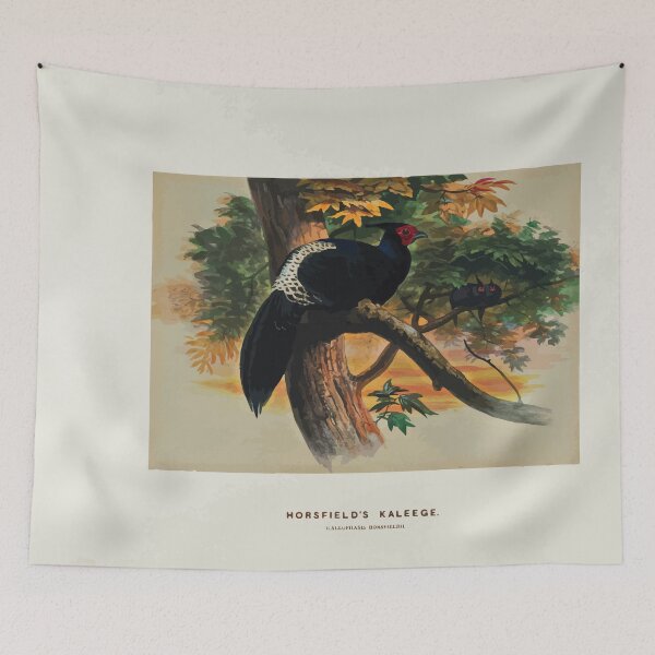 Item preview, Zoological sketches by Joseph Wolf 1861 to 1867 039 Horsfield's Kaleege designed and sold by WetdryvacRB01.