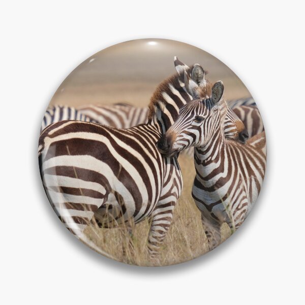 Item preview, Zebras playing. Masai Mara National Park, Kenya designed and sold by electricimage.