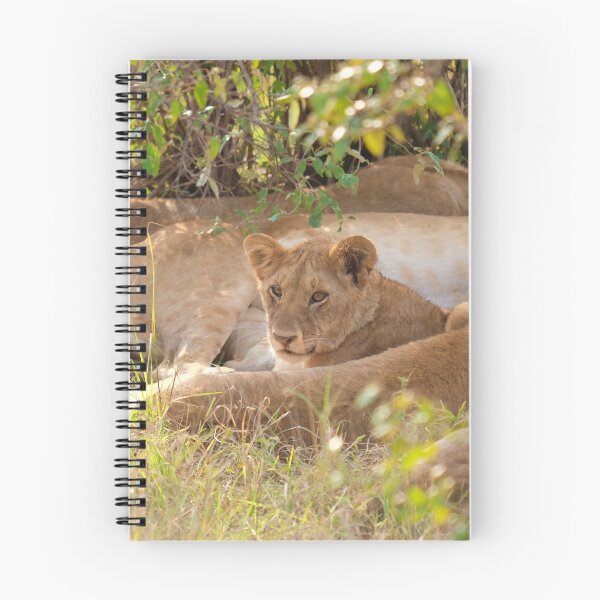 Item preview, Lion cub resting. Masai Mara National Park, Kenya designed and sold by electricimage.