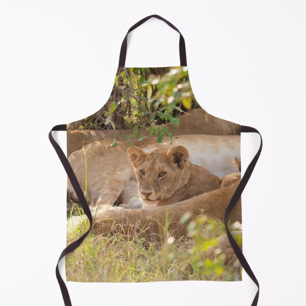 Item preview, Lion cub resting. Masai Mara National Park, Kenya designed and sold by electricimage.