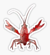 Crawford Sticker