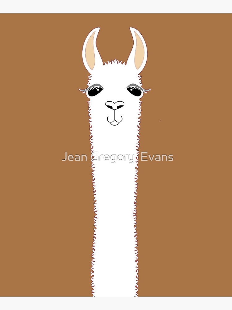 LLAMA PORTRAIT #9 by jgevans