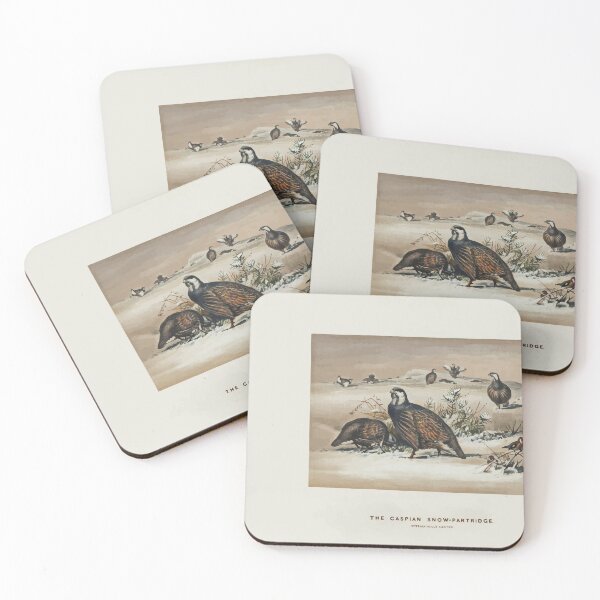 Item preview, Zoological sketches by Joseph Wolf 1861 to 1867 040 The Caspian Snow partridge designed and sold by WetdryvacRB01.