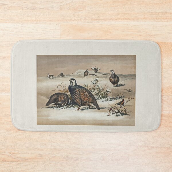Item preview, Zoological sketches by Joseph Wolf 1861 to 1867 040 The Caspian Snow partridge designed and sold by WetdryvacRB01.