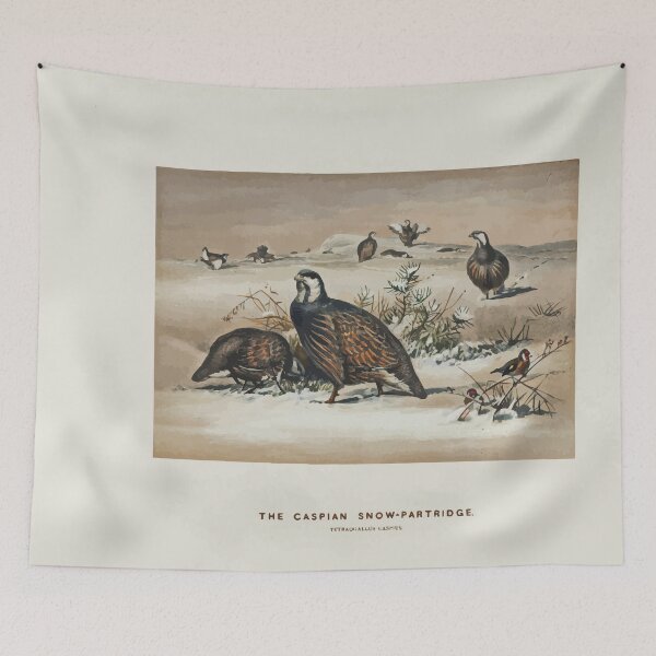 Item preview, Zoological sketches by Joseph Wolf 1861 to 1867 040 The Caspian Snow partridge designed and sold by WetdryvacRB01.