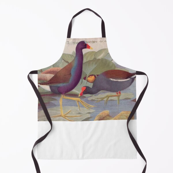 Item preview, Coots illustration designed and sold by Vintage Designs +.