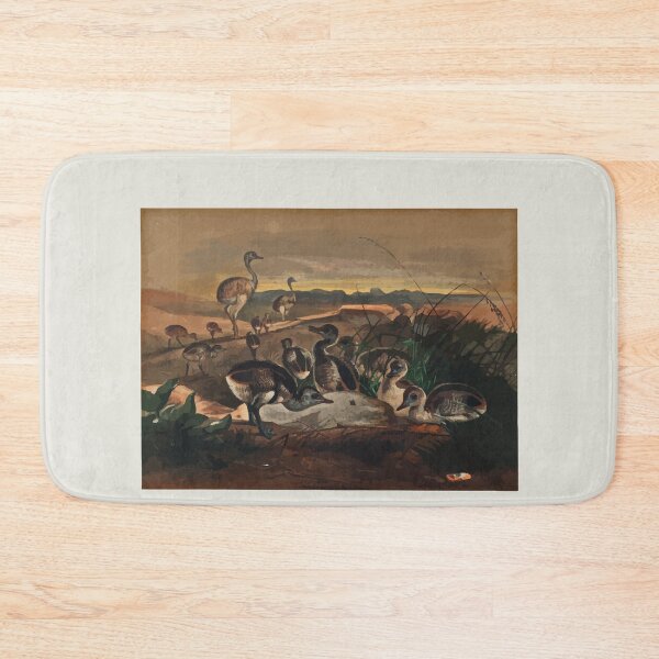 Item preview, Zoological sketches by Joseph Wolf 1861 to 1867 042 The American Rhea designed and sold by WetdryvacRB01.