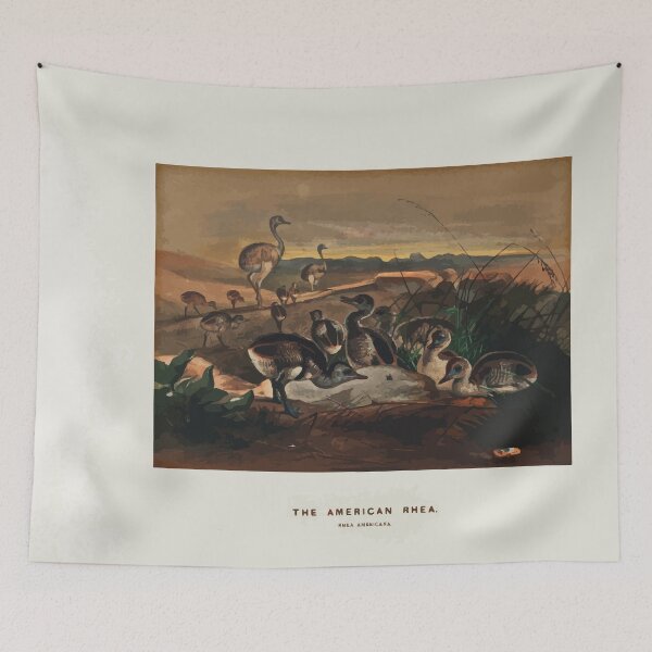 Item preview, Zoological sketches by Joseph Wolf 1861 to 1867 042 The American Rhea designed and sold by WetdryvacRB01.