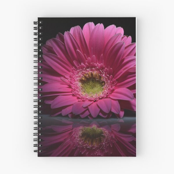 Item preview, Gerbera mirror effect designed and sold by E-S-A-20.