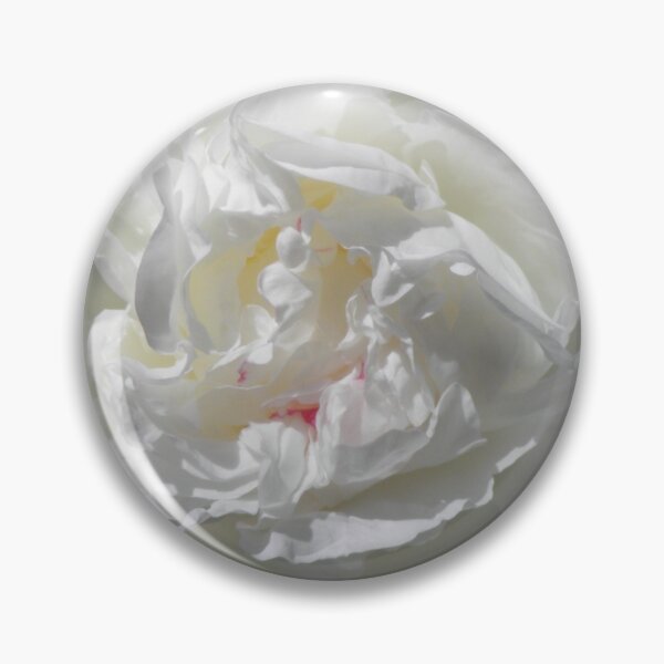 Aperçu de l'œuvre Pivoine blanche créée et vendue par VanyGo.