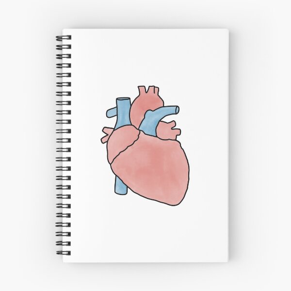 Item preview, Anatomical Heart designed and sold by elliemoon.