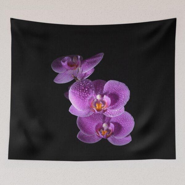 Item preview, Orchid designed and sold by E-S-A-20.