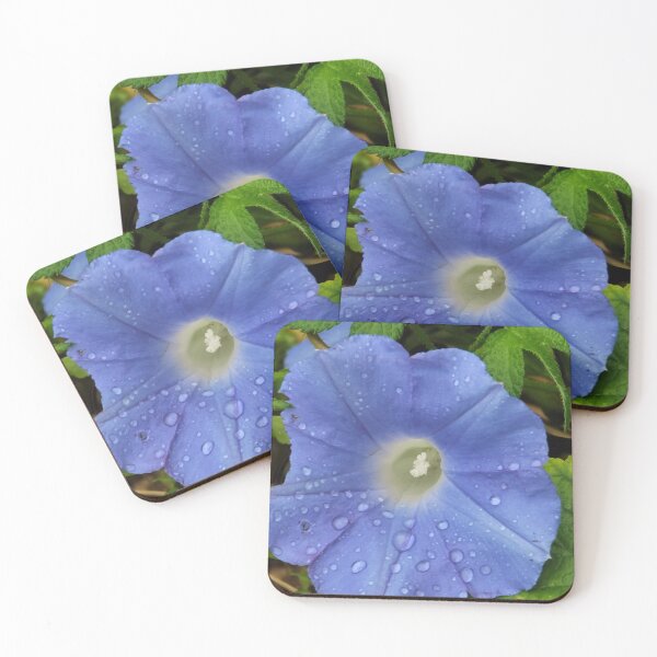 Item preview, Wildflowers with rainwater at Citrus Farm, Jeju Island, Korea. designed and sold by human8891.