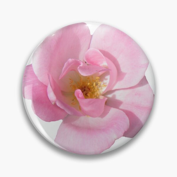 Item preview, Pink Wild Rose designed and sold by VanyGo.