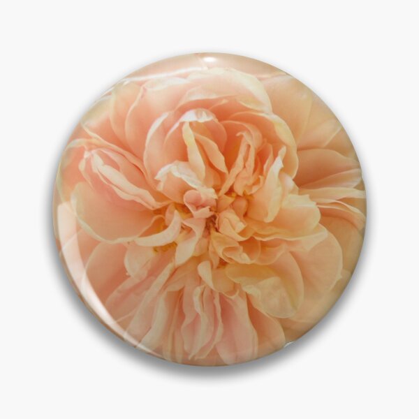 Item preview, Peach Rose designed and sold by VanyGo.
