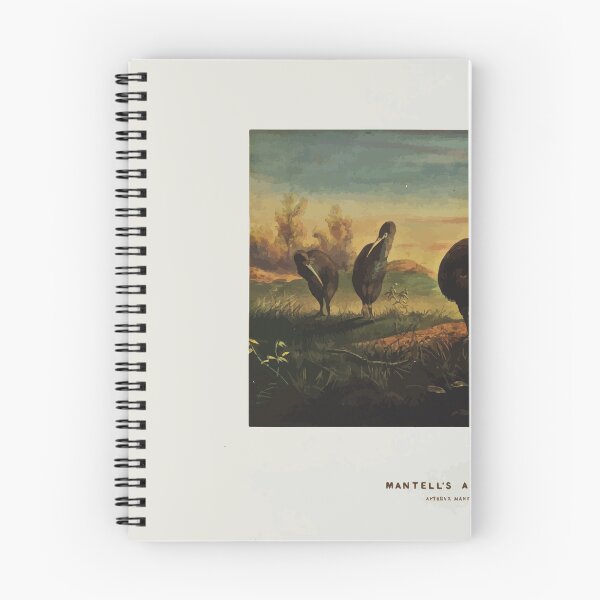 Item preview, Zoological sketches by Joseph Wolf 1861 to 1867 044 Mantell's Apteryx designed and sold by WetdryvacRB01.