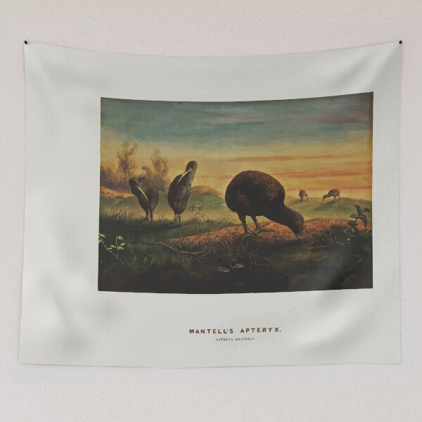 Item preview, Zoological sketches by Joseph Wolf 1861 to 1867 044 Mantell's Apteryx designed and sold by WetdryvacRB01.