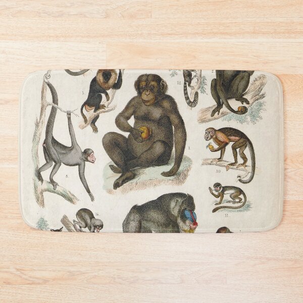 Item preview, Vintage zoology illustration - Monkeys designed and sold by Gardenlibrary.