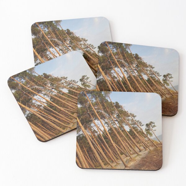 Item preview, Lithuania, beach, forest designed and sold by Sternchen2789.