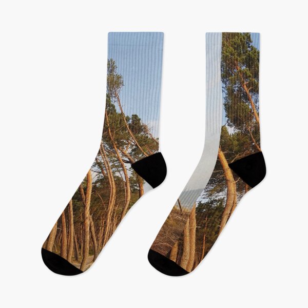 Item preview, Lithuania, beach, forest designed and sold by Sternchen2789.