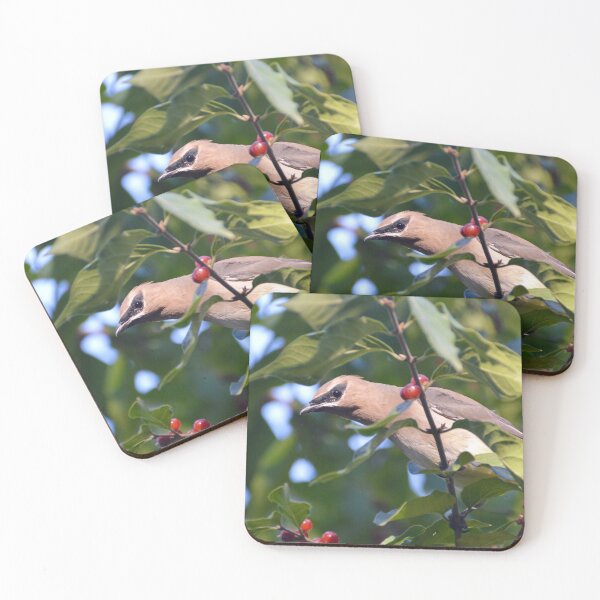 Item preview, Cedar Waxwing designed and sold by lisapicklepizza.