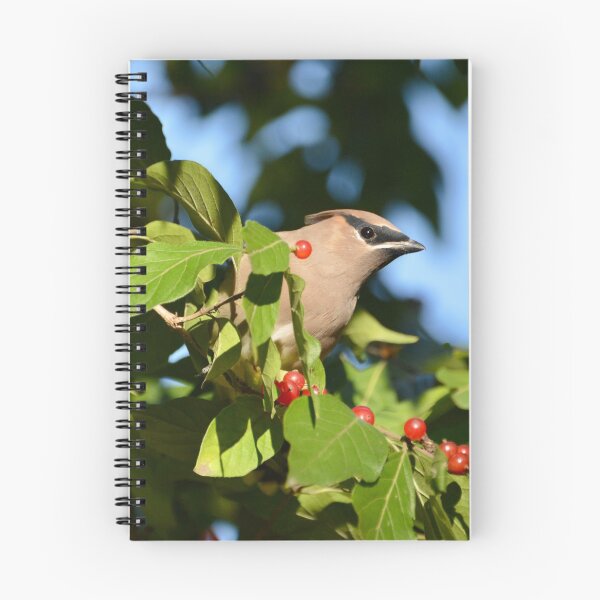 Item preview, Cedar Waxwing Bird designed and sold by lisapicklepizza.