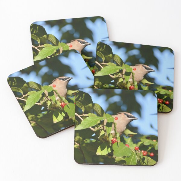 Item preview, Cedar Waxwing Bird designed and sold by lisapicklepizza.