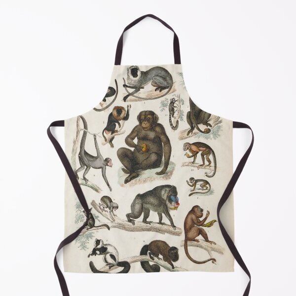Item preview, Vintage zoology illustration - Monkeys designed and sold by Gardenlibrary.