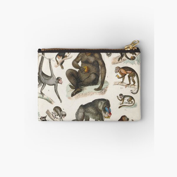 Item preview, Vintage zoology illustration - Monkeys designed and sold by Gardenlibrary.