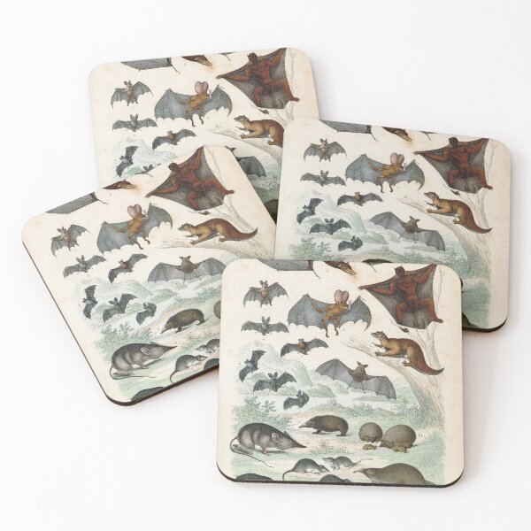 Item preview, Vintage zoology illustration - Bats and shrews designed and sold by Gardenlibrary.