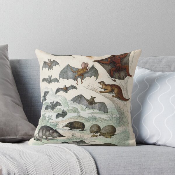 Item preview, Vintage zoology illustration - Bats and shrews designed and sold by Gardenlibrary.