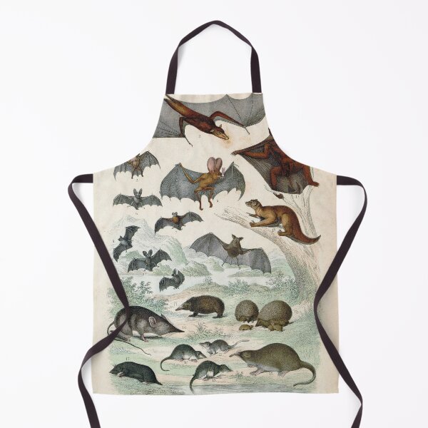 Item preview, Vintage zoology illustration - Bats and shrews designed and sold by Gardenlibrary.
