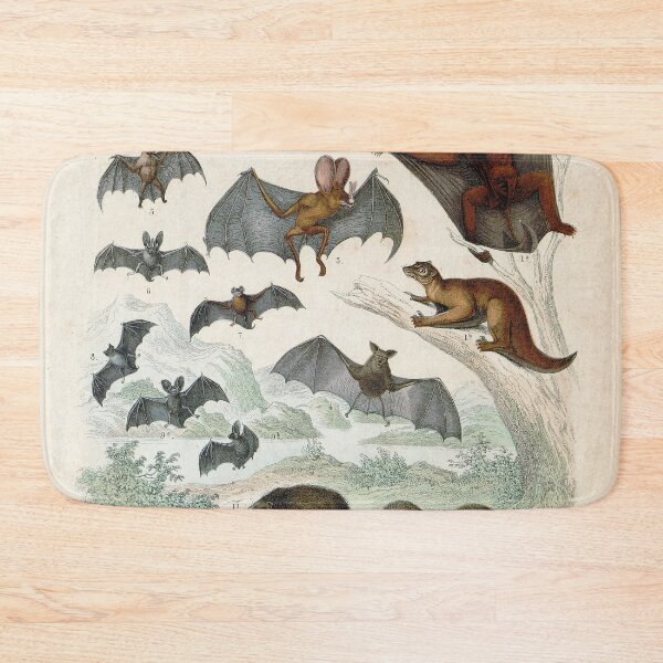 Item preview, Vintage zoology illustration - Bats and shrews designed and sold by Gardenlibrary.
