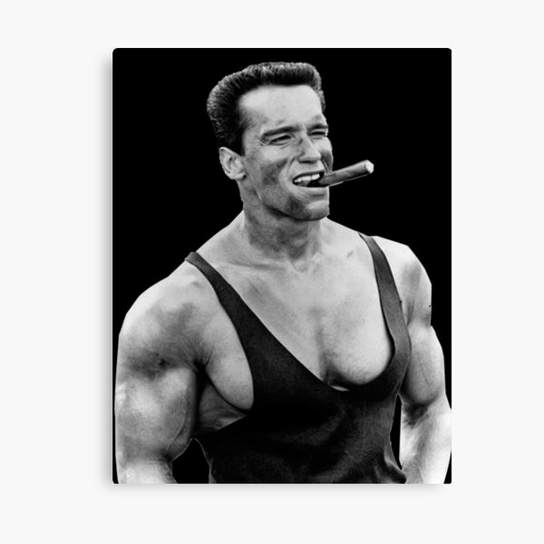 Arnold Canvas Print