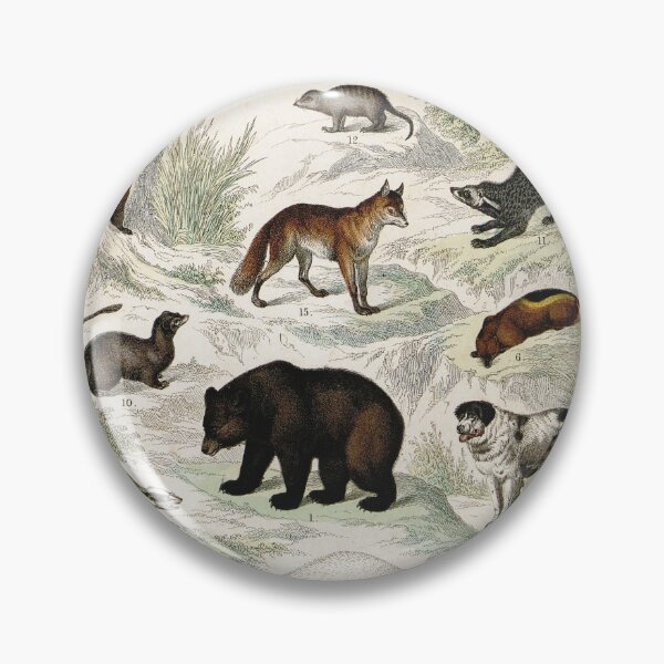 Item preview, Vintage zoology illustration - Wolf, bears and other quadrupeds designed and sold by Gardenlibrary.