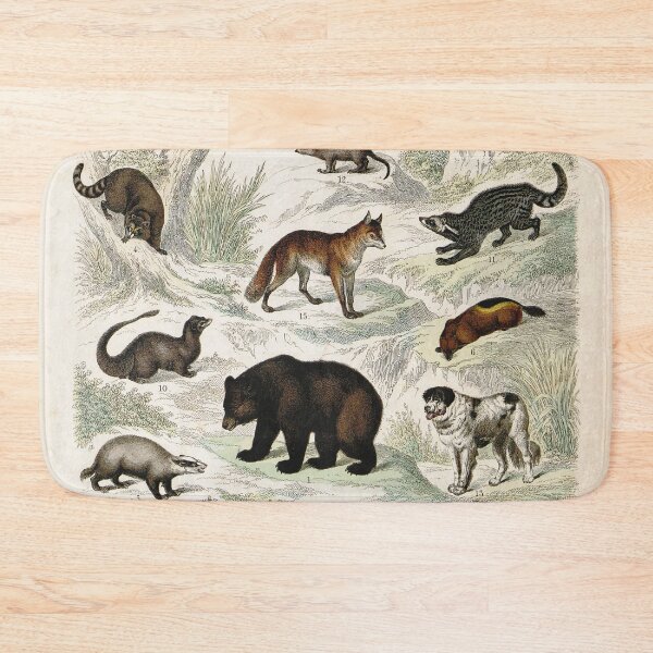 Item preview, Vintage zoology illustration - Wolf, bears and other quadrupeds designed and sold by Gardenlibrary.