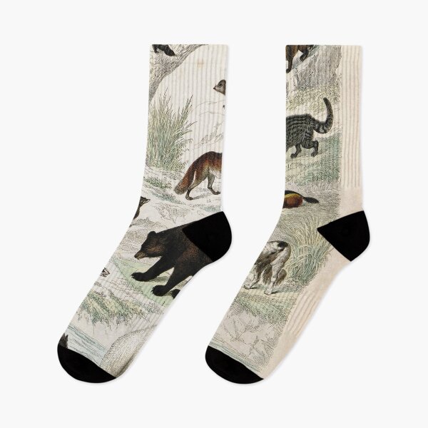 Item preview, Vintage zoology illustration - Wolf, bears and other quadrupeds designed and sold by Gardenlibrary.