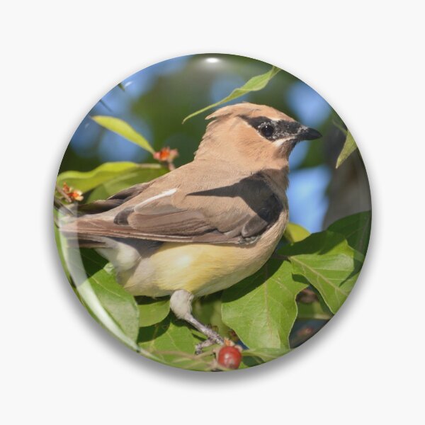 Item preview, Gorgeous Cedar Waxwing designed and sold by lisapicklepizza.