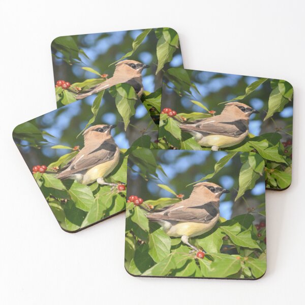 Item preview, Gorgeous Cedar Waxwing designed and sold by lisapicklepizza.