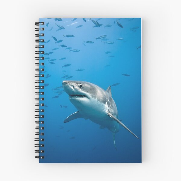 Item preview, Shark Picture designed and sold by EarthSong1005.