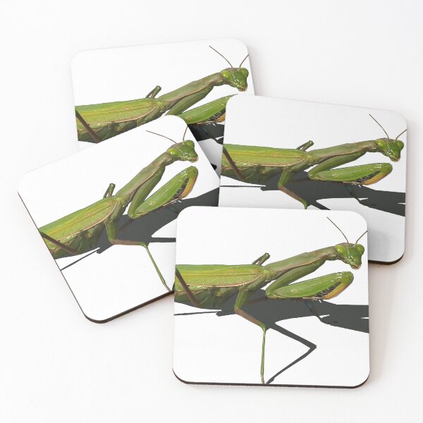 Item preview, Mantis Horizontal designed and sold by Lori Clough.