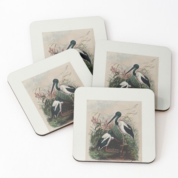 Item preview, Zoological sketches by Joseph Wolf 1861 to 1867 047 The Australian Mycteria designed and sold by WetdryvacRB01.